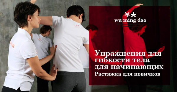 Упражнения для гибкости тела для начинающих